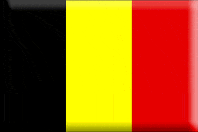 bandera belgica 8