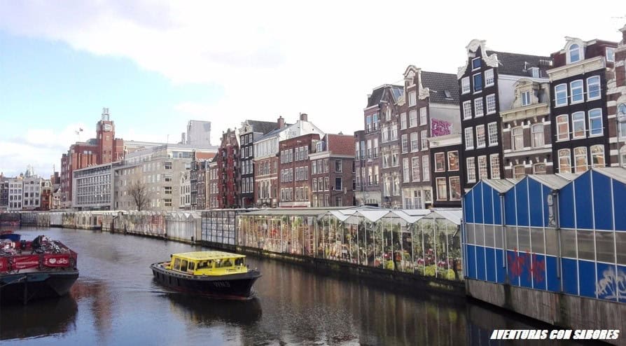 Mercado de flores Bloemenmarkt 1 Mercado de flores Bloemenmarkt