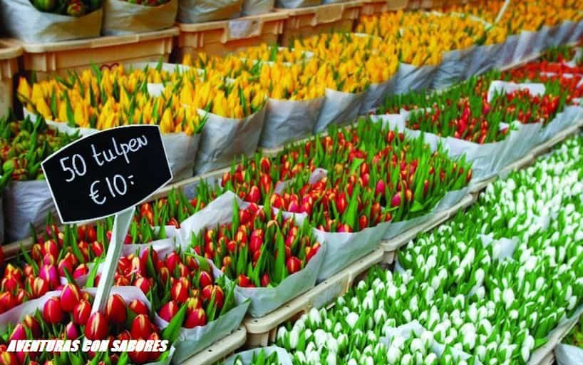 mercado de las flores Bloemenmarkt