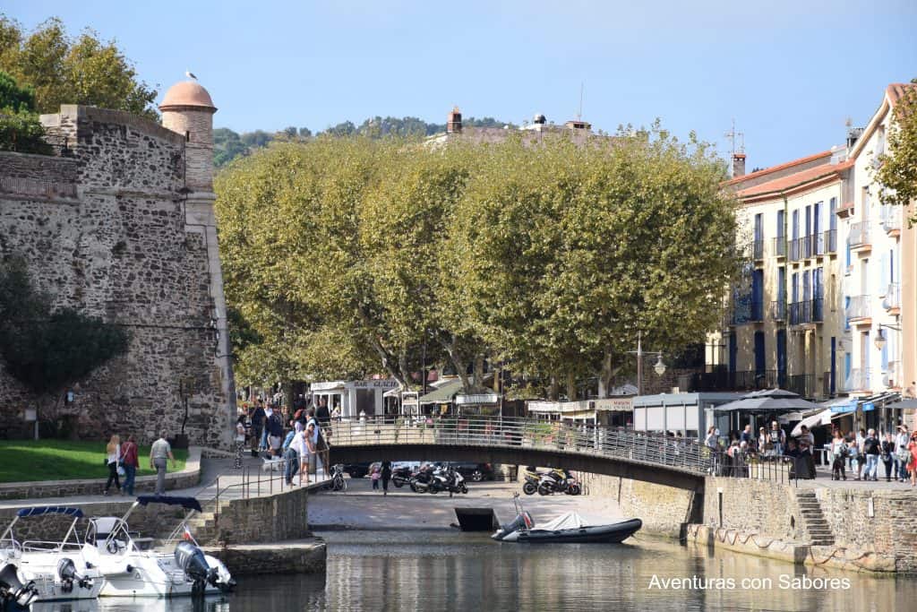 Turismo Collioure 4 collioure 6 min
